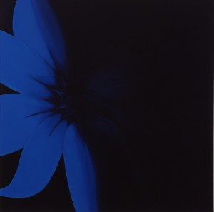 blue-flower-48x48